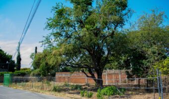 Terreno en venta en Cuautla, Morelos