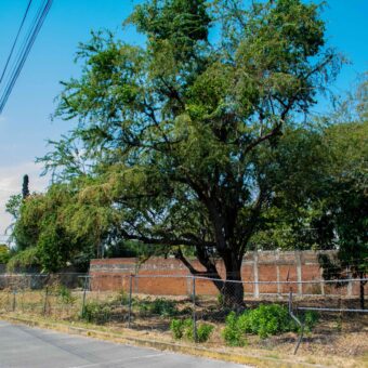 Terreno en venta en Cuautla, Morelos
