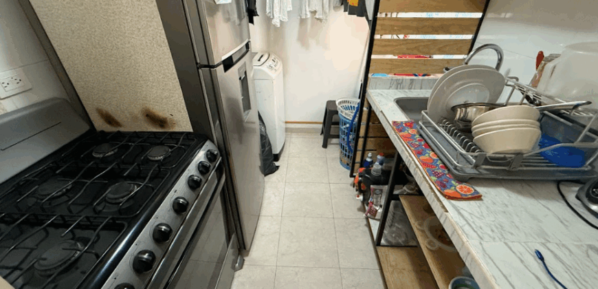 Departamento en venta en Agrícola Oriental, Iztacalco